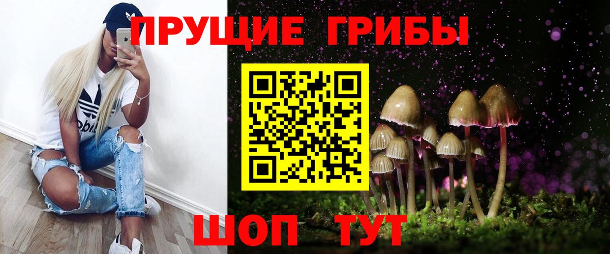 Псилоцибиновые грибы Psilocybine cubensis Богданович